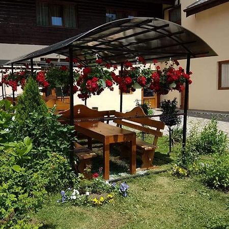 Pension Steaua Ariesului Albac Exterior foto