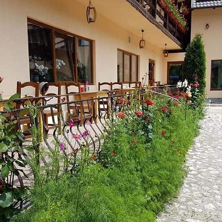 Pension Steaua Ariesului Albac Exterior foto