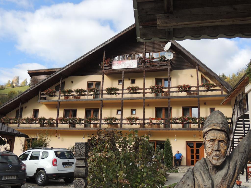 Pension Steaua Ariesului Albac Exterior foto