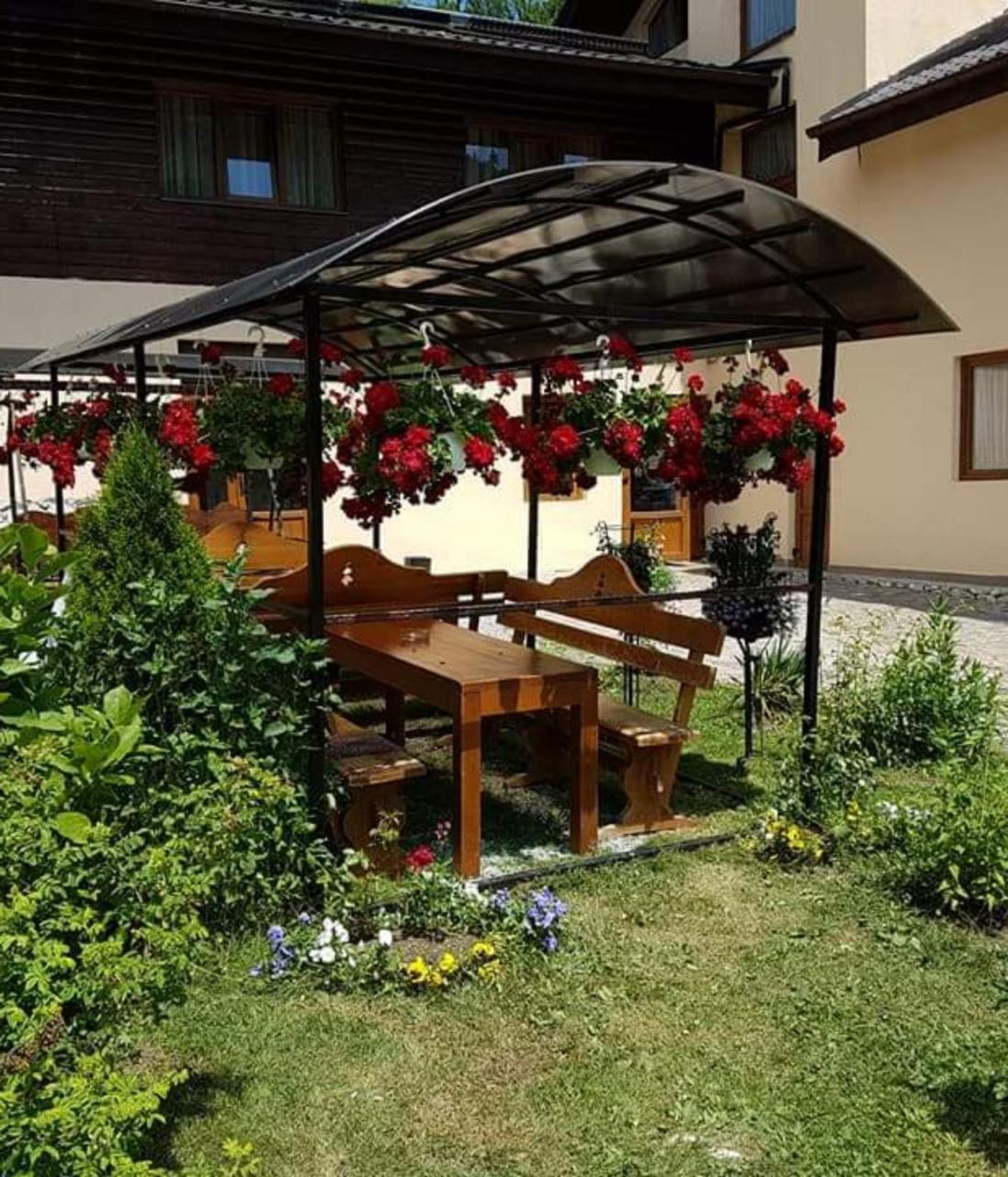 Pension Steaua Ariesului Albac Exterior foto